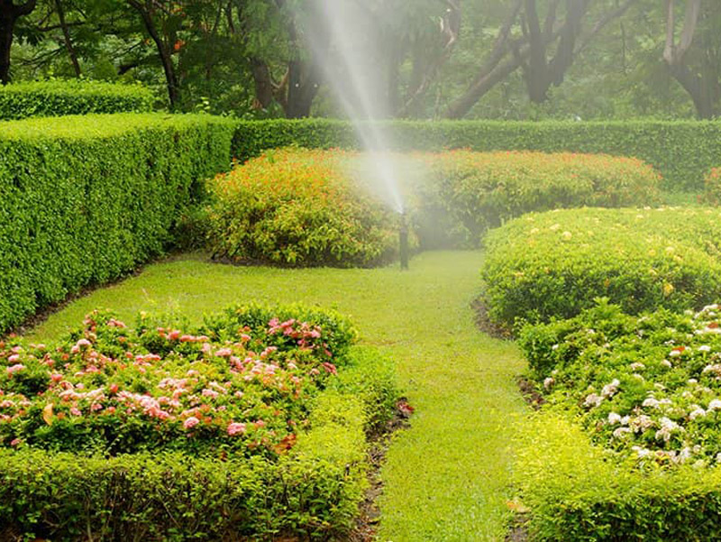 irrigation