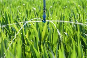 Lawn irrigation system, efficient water management for healthy landscapes in Aurora & Denver.