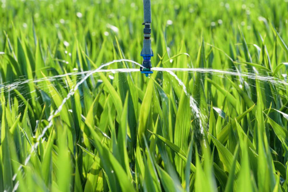 Improving lawn irrigation efficiency