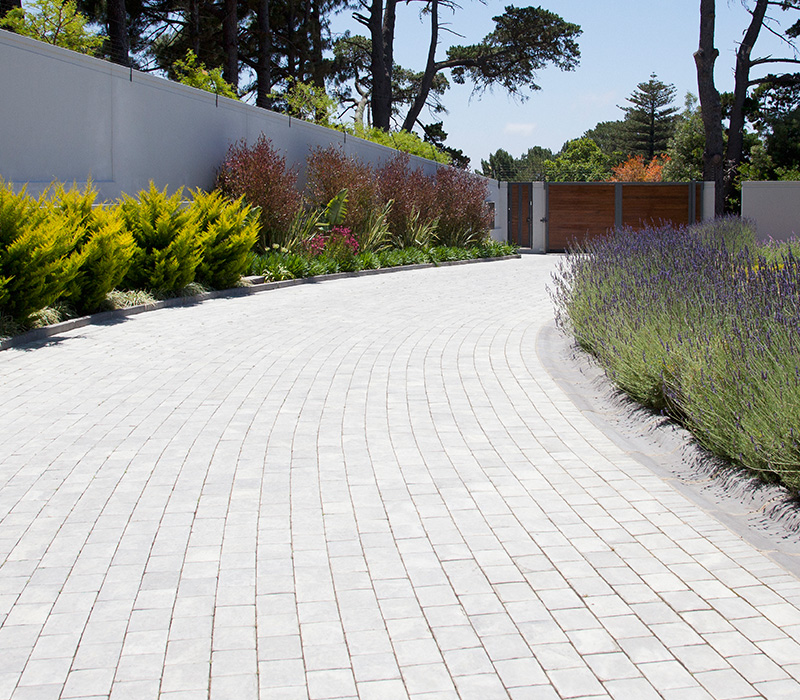 Plants along cobblestone driveway