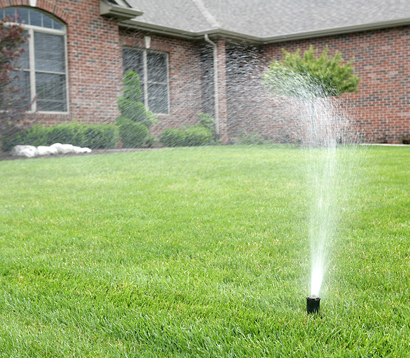 Sprinkler in Front Yard