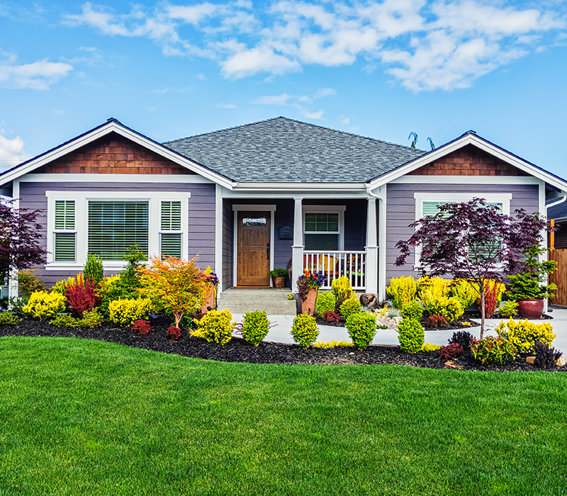 Photo of a modern custom single-level suburban home on a sunny summer day